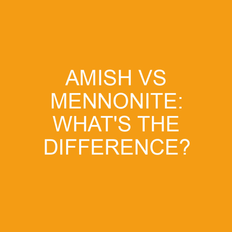 Amish Vs Mennonite What S The Difference Differencess