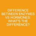 Difference Between Enzymes Vs Hormones What S The Difference