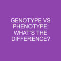 Genotype Vs Phenotype What S The Difference Differencess