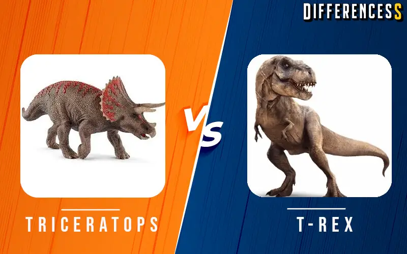 Difference between Triceratops vs Tyrannosaurus
