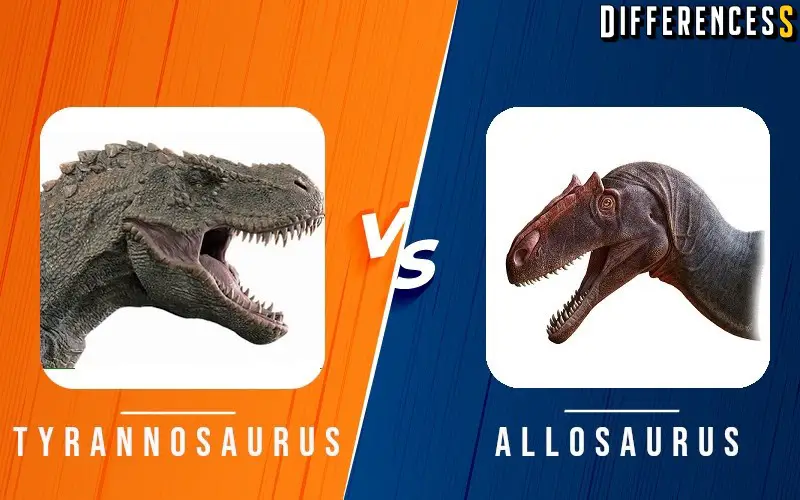 tyrannosaurus vs allosaurus