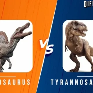 Spinosaurus vs Tyrannosaurus Differences and Comparison