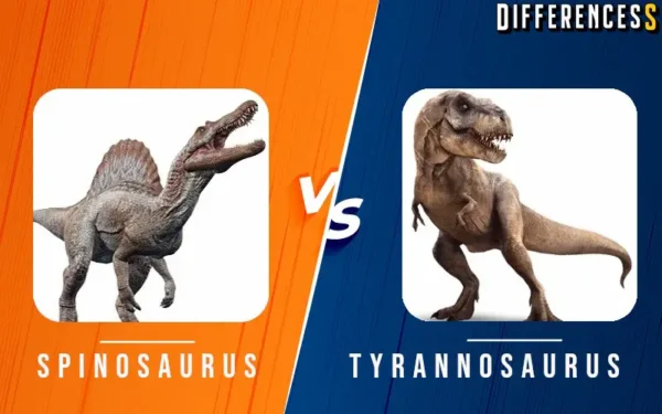 Spinosaurus vs Tyrannosaurus