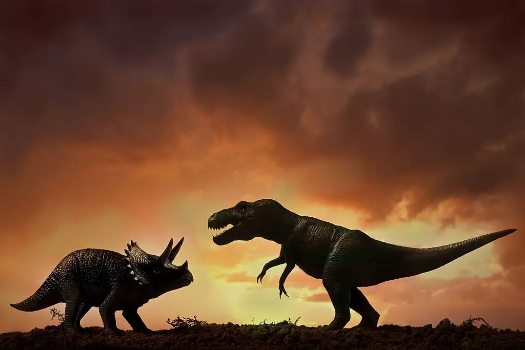 trex vs triceratops