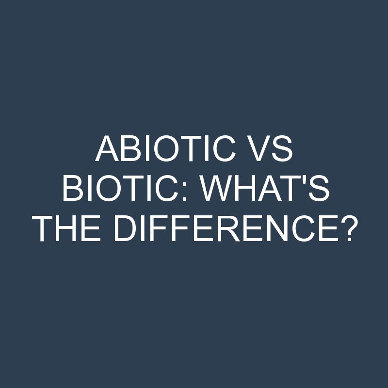 Abiotic Vs Biotic: What’s the Difference?