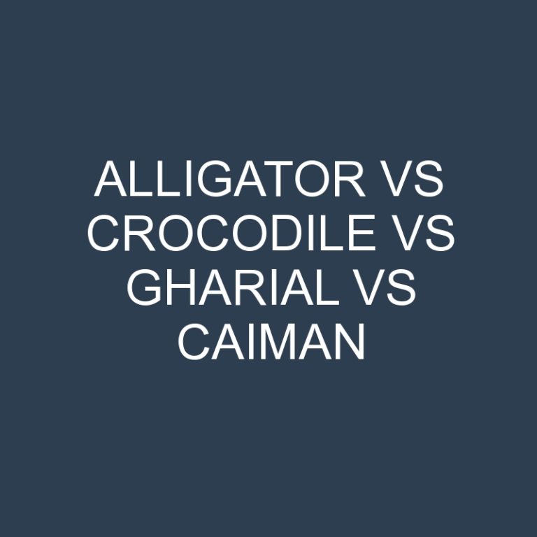 Alligator vs Crocodile vs Gharial vs Caiman