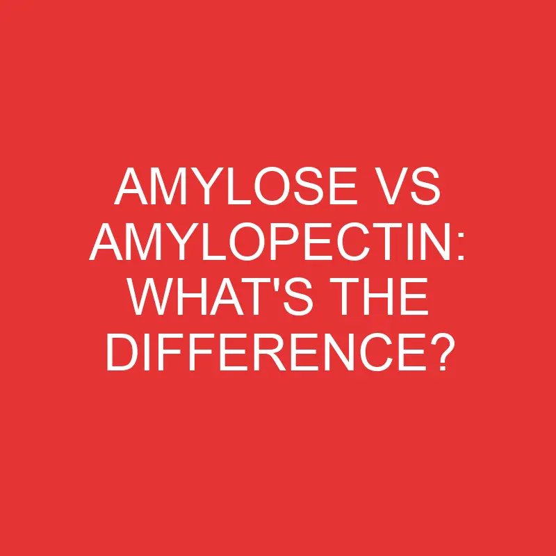 amylose vs amylopectin whats the difference 2788