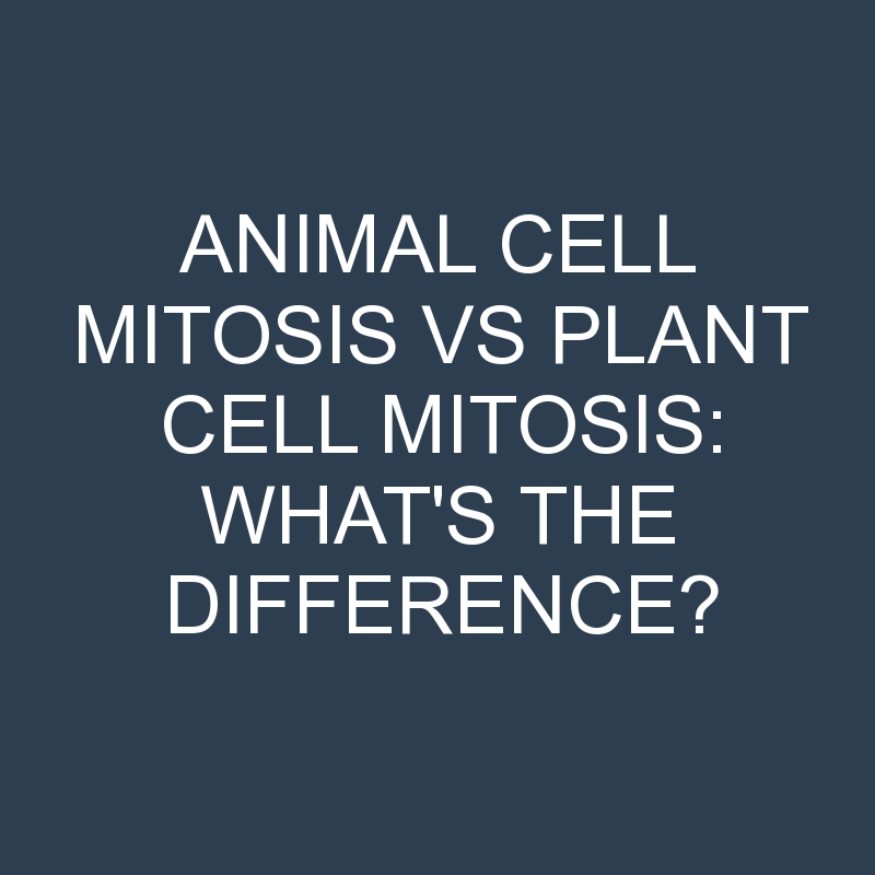 Animal Cell Mitosis Vs Plant Cell Mitosis: What’s the Difference?