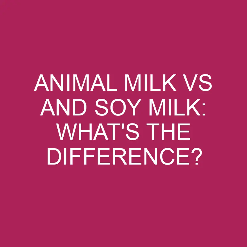 Animal Milk Vs And Soy Milk: What’s The Difference?