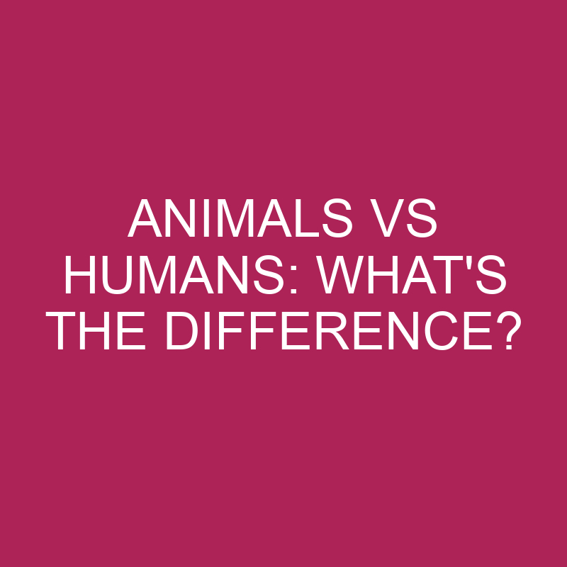 animals vs humans whats the difference 5332