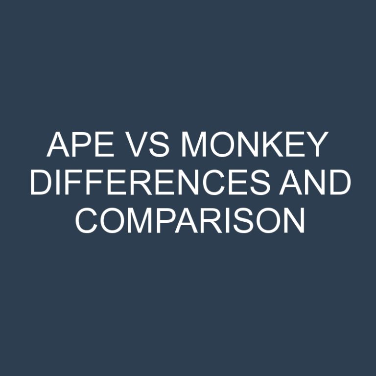 Ape vs Monkey Differences and Comparison