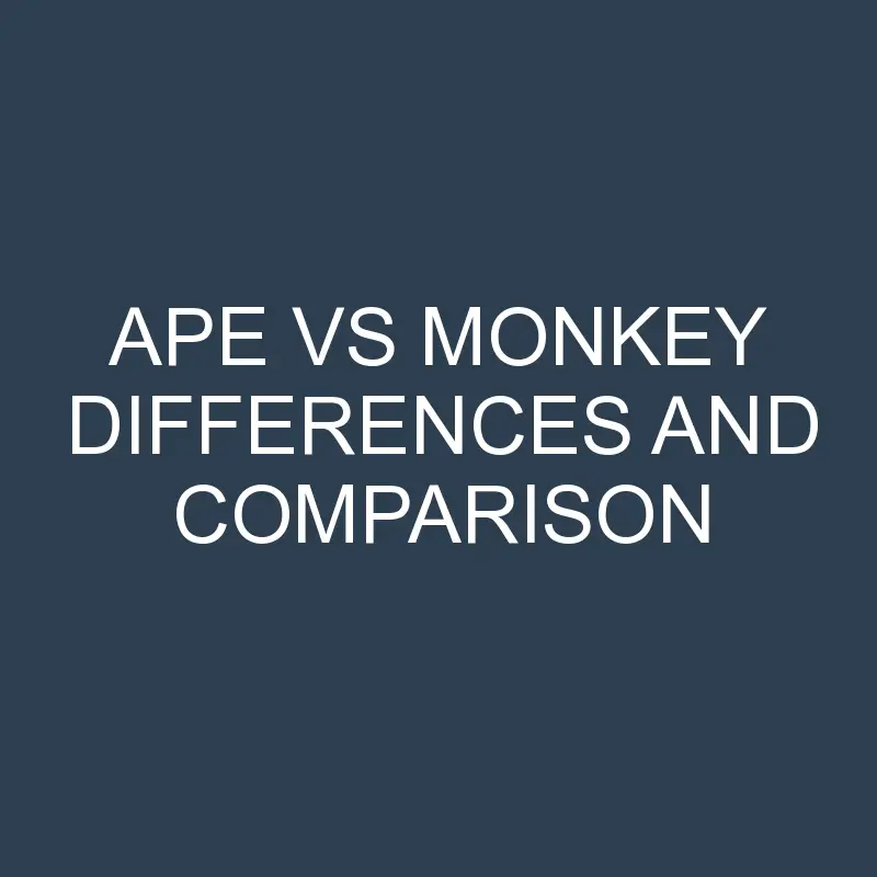 ape vs monkey differences and comparison 450