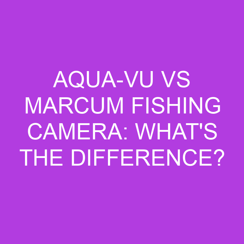 Aqua-Vu Vs Marcum Fishing Camera: What’s The Difference?