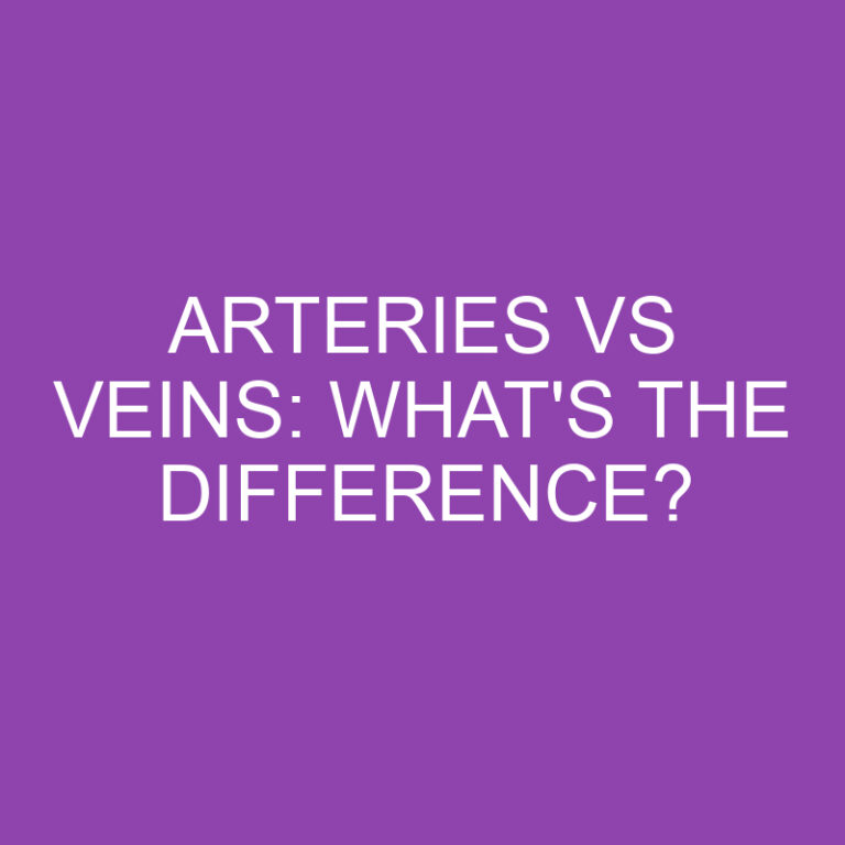 Arteries Vs Veins: What’s the Difference?