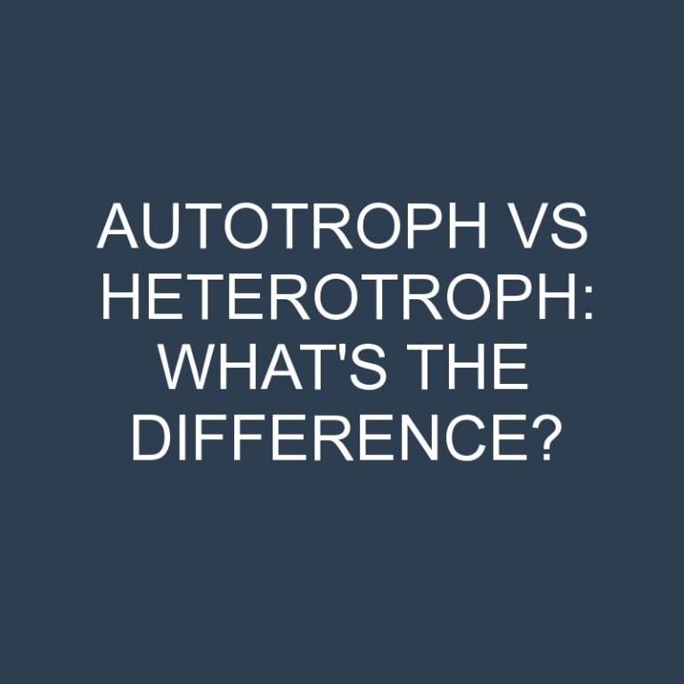 Autotroph Vs Heterotroph: What’s the Difference?