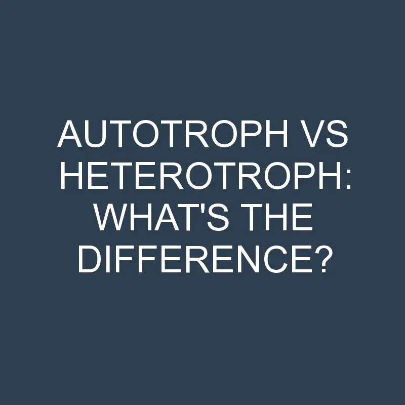 autotroph vs heterotroph whats the difference 1990 1