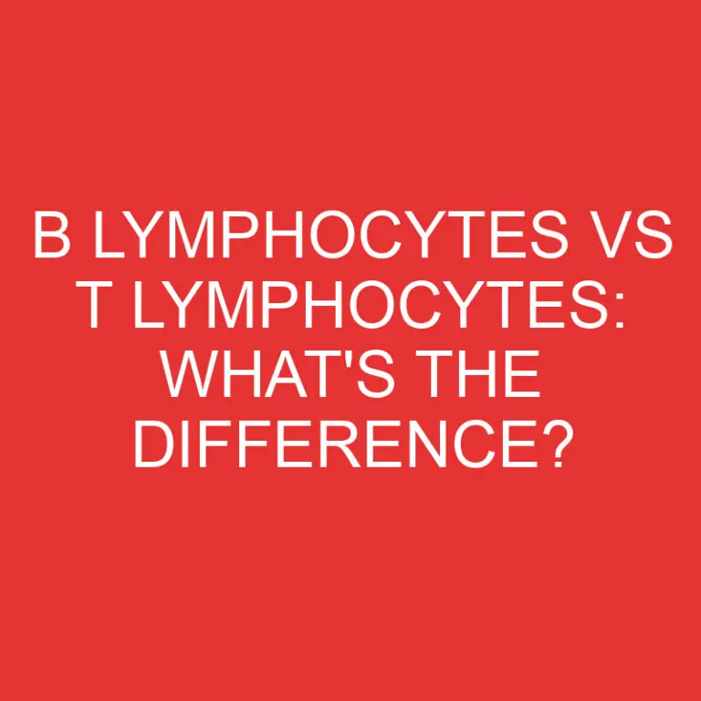 B Lymphocytes Vs T Lymphocytes: What’s the Difference?