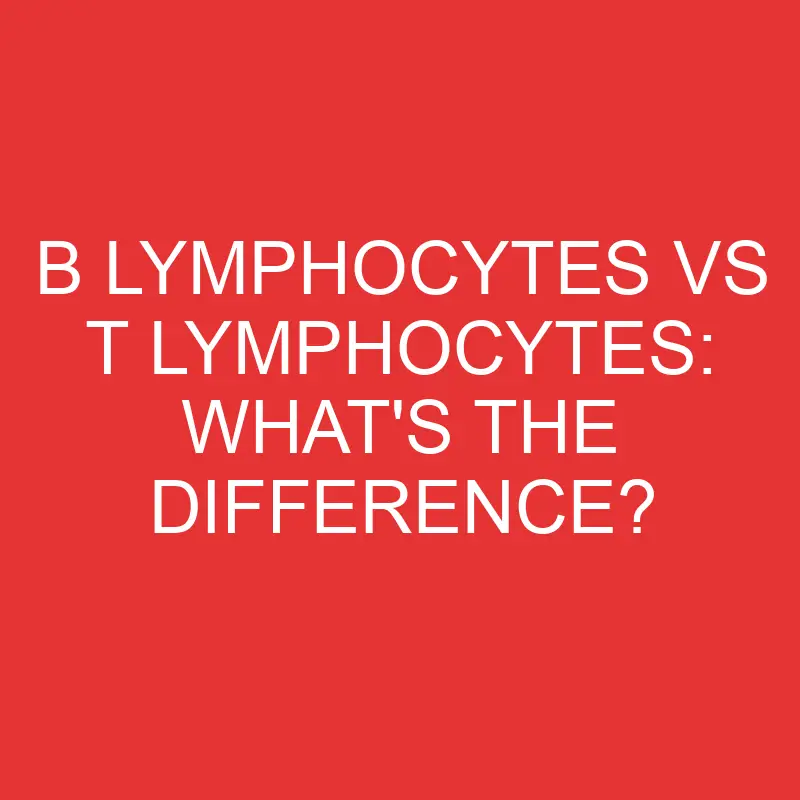b lymphocytes vs t lymphocytes whats the difference 2792