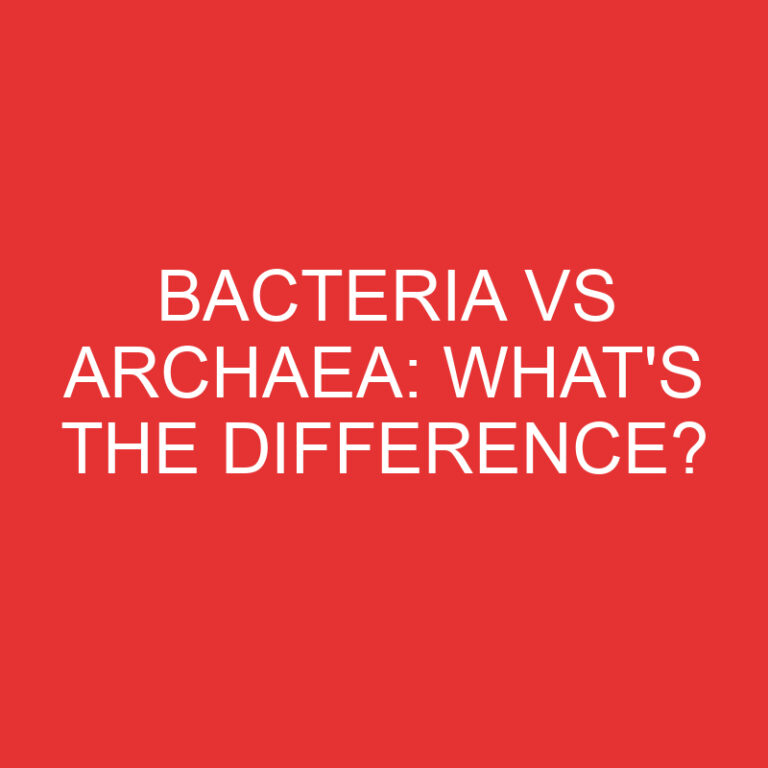 Bacteria Vs Archaea: What’s the Difference?