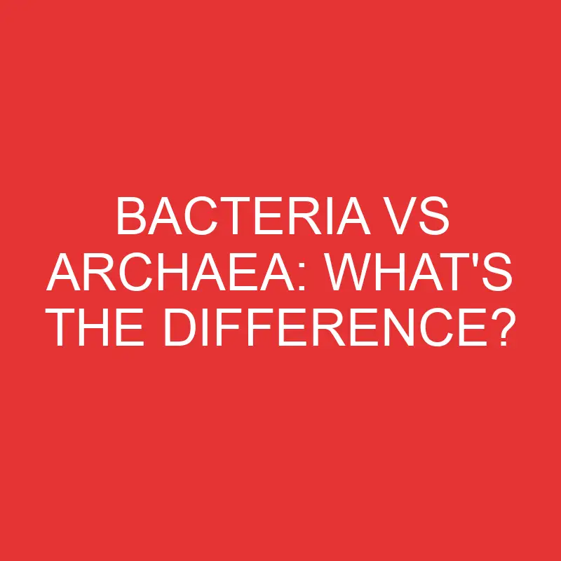 bacteria vs archaea whats the difference 2782