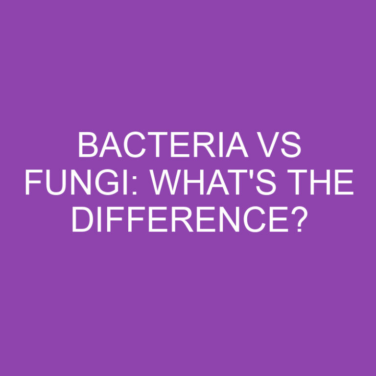 Bacteria Vs Fungi: What’s the Difference?