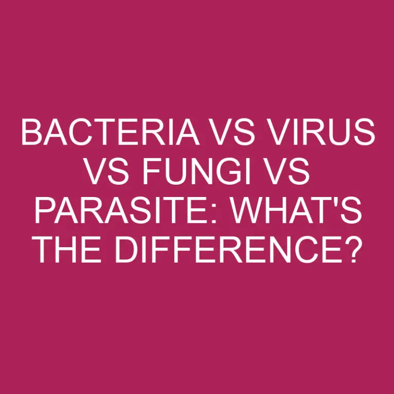 Bacteria Vs Virus Vs Fungi Vs Parasite: What’s The Difference?