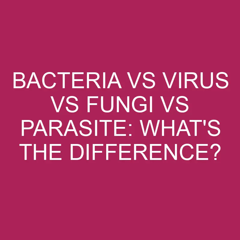 bacteria vs virus vs fungi vs parasite whats the difference 5379