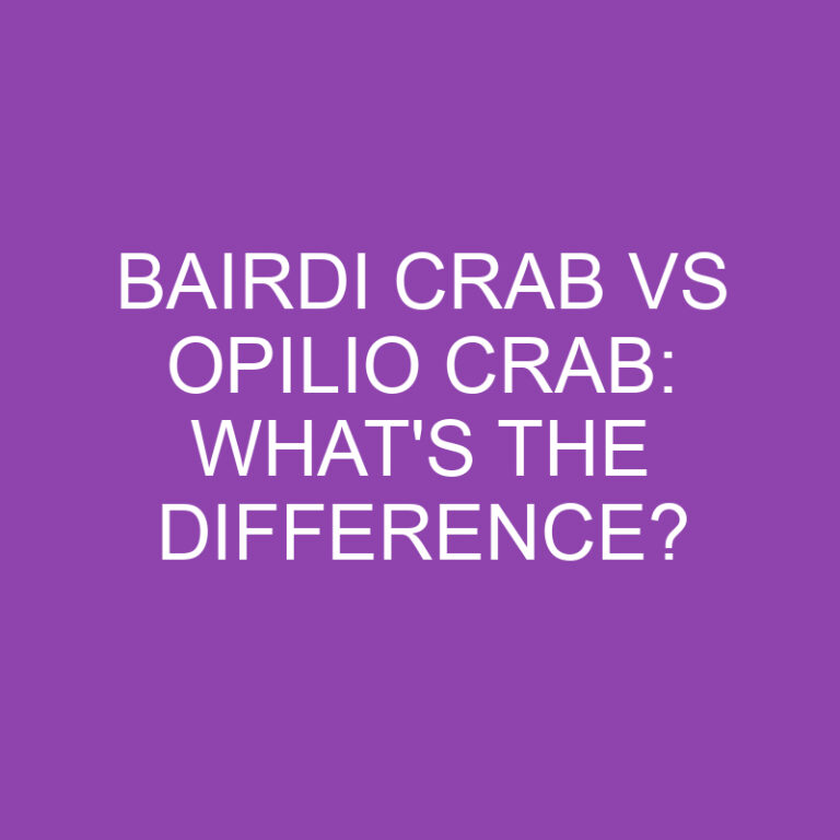 Bairdi Crab Vs Opilio Crab: What’s the Difference?