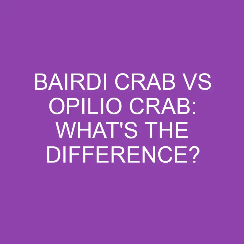 bairdi crab vs opilio crab whats the difference 3132