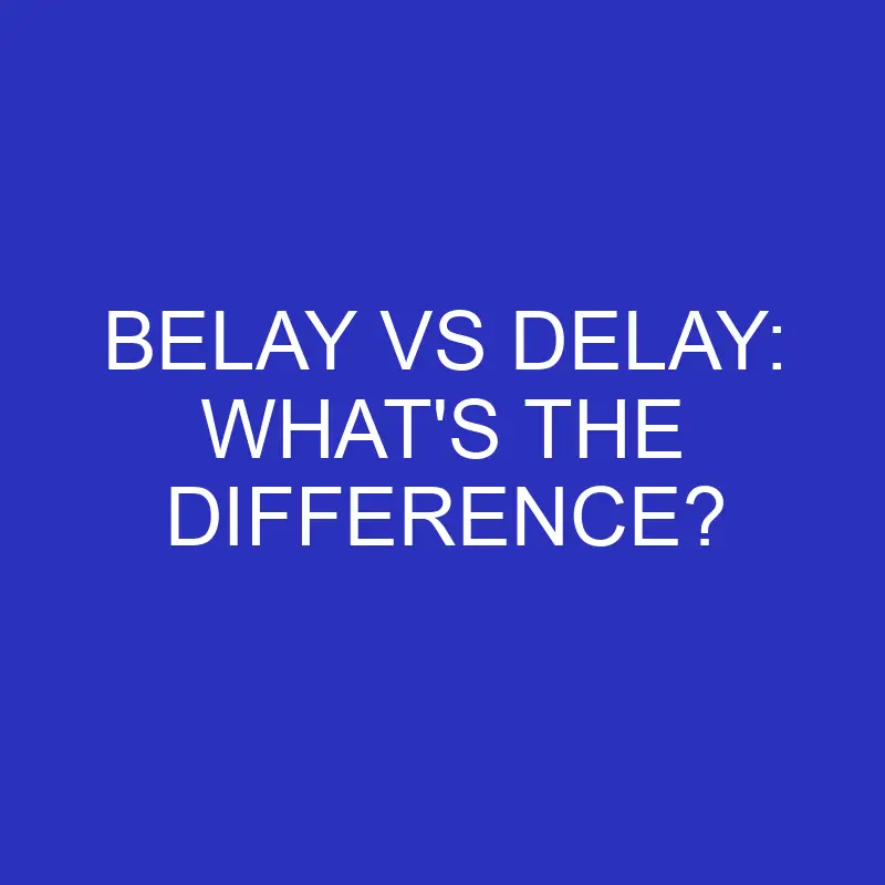 belay vs delay whats the difference 4712