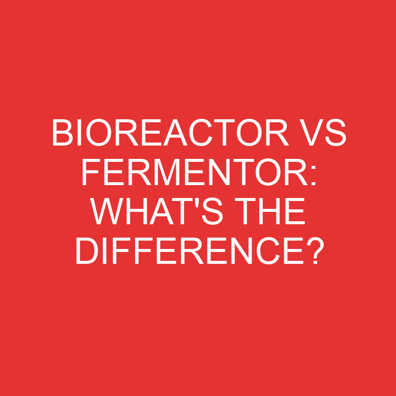 bioreactor vs fermentor whats the difference 2759