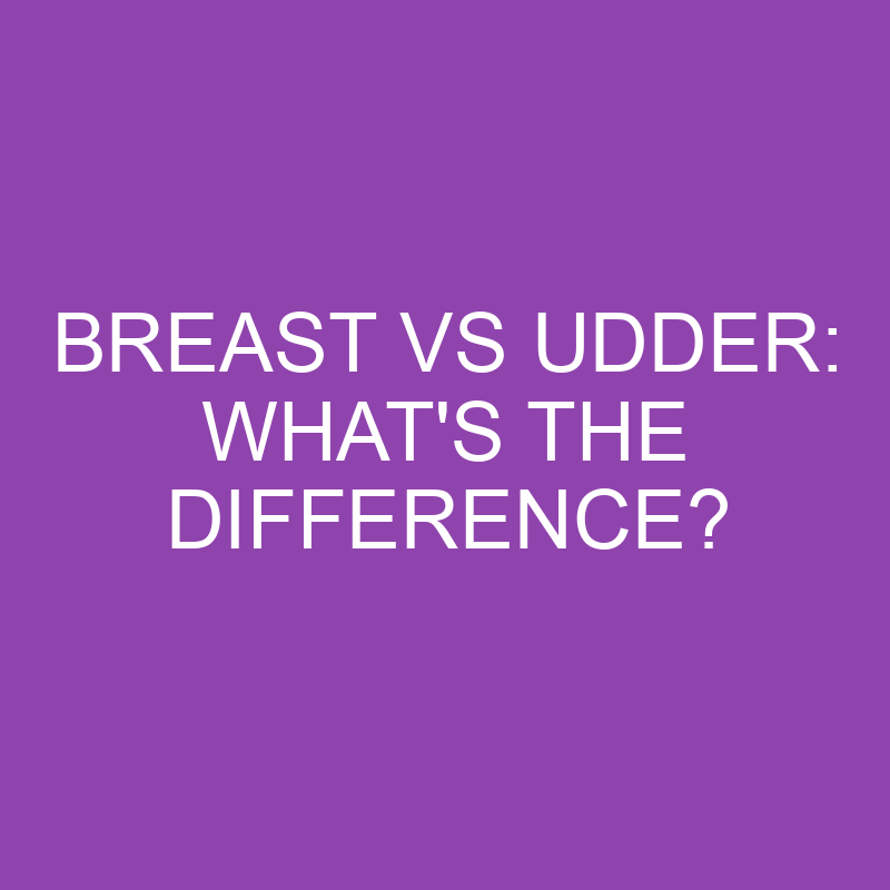 Breast Vs Udder: What’s The Difference?