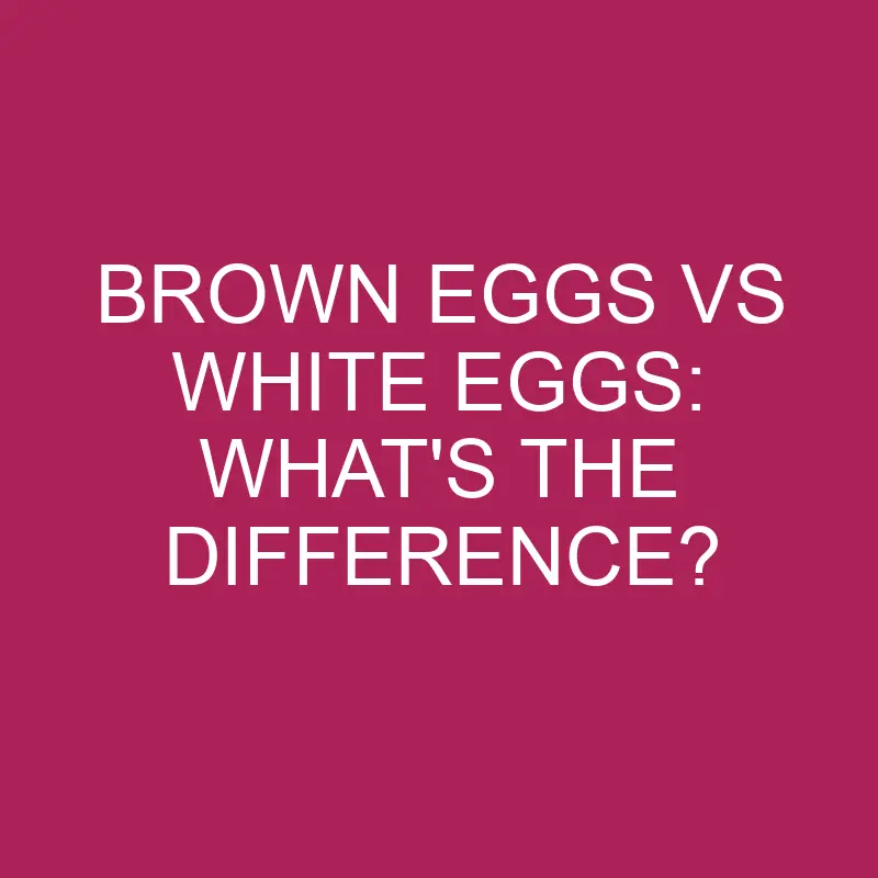 brown eggs vs white eggs whats the difference 5365