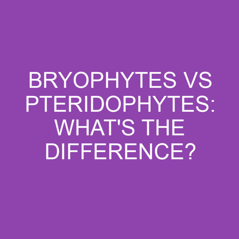 Bryophytes Vs Pteridophytes: What’s the Difference?