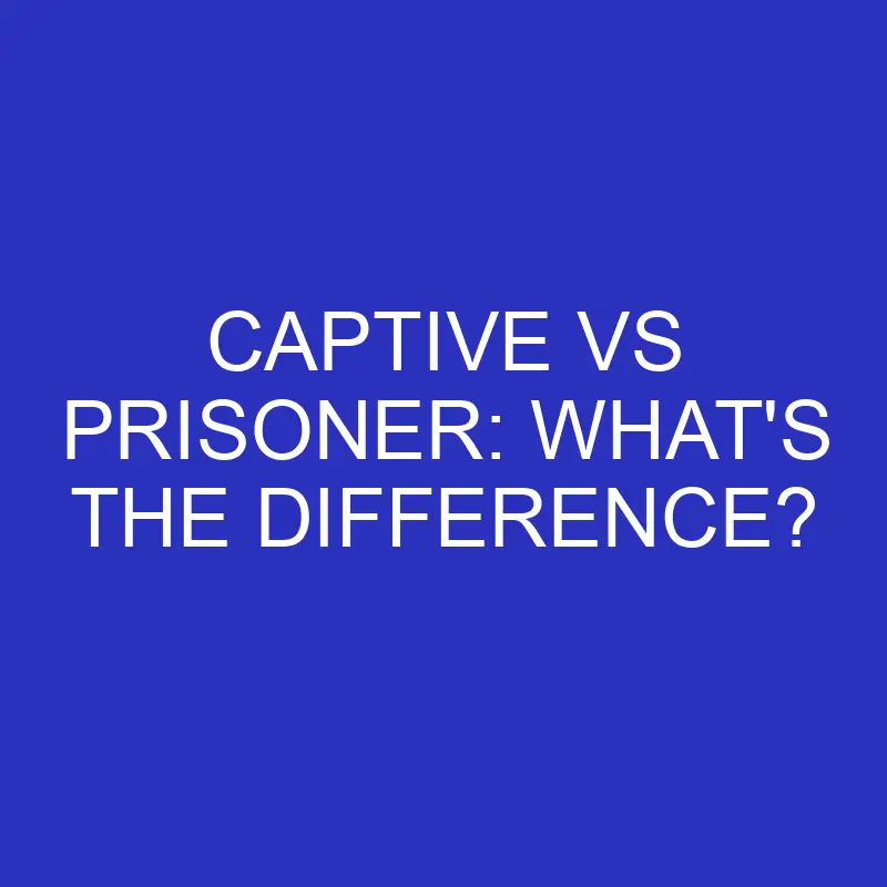captive vs prisoner whats the difference 4719
