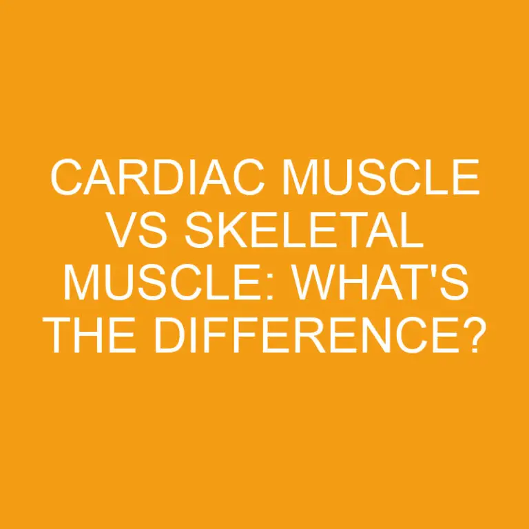 Cardiac Muscle Vs Skeletal Muscle: What’s the Difference?