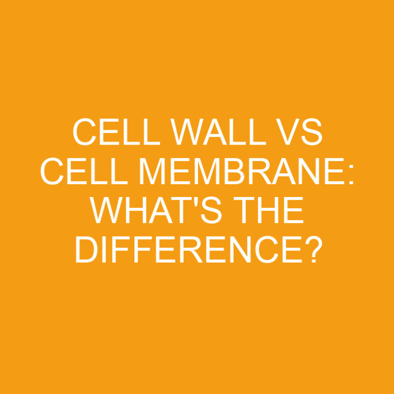 Cell Wall Vs Cell Membrane: What’s the Difference?
