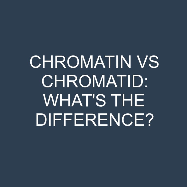 Chromatin Vs Chromatid: What’s the Difference?