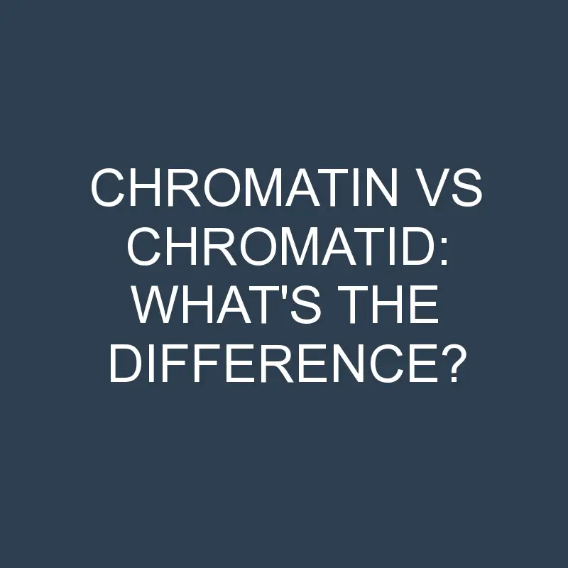 chromatin vs chromatid whats the difference 1995 1