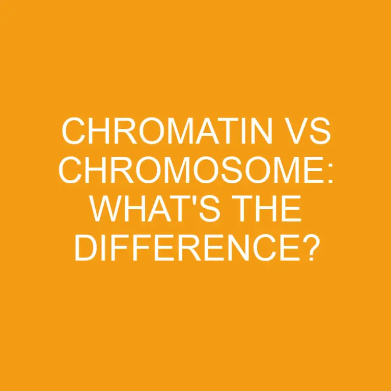 Chromatin Vs Chromosome: What’s the Difference?