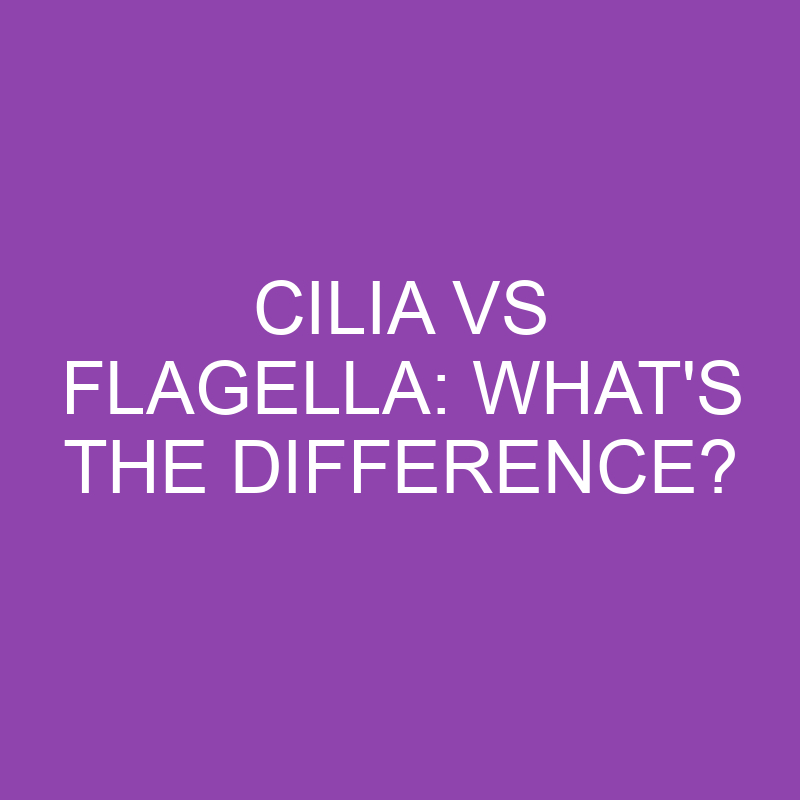 Cilia Vs Flagella: What’s the Difference?
