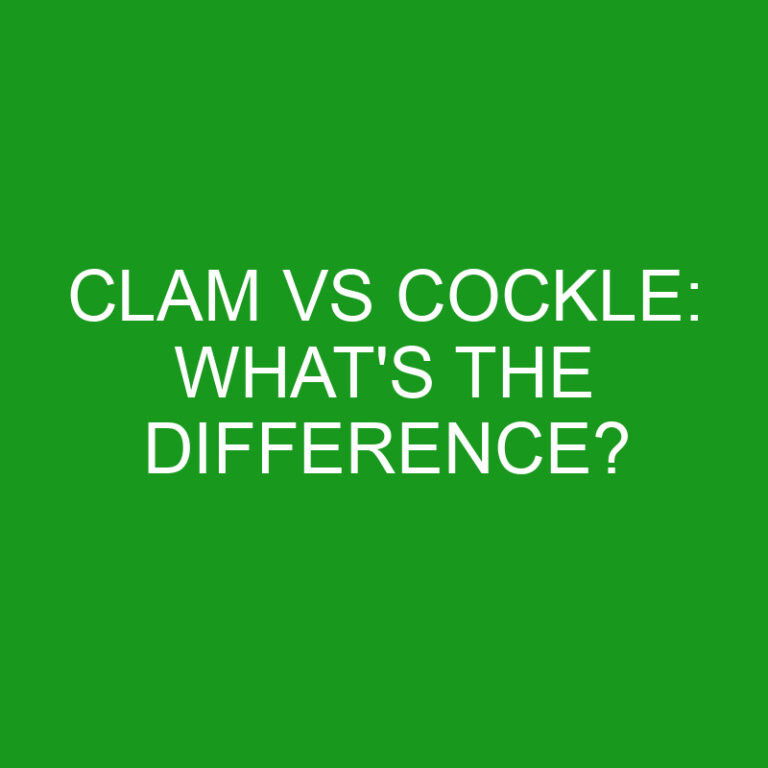 Clam Vs Cockle: What’s The Difference?