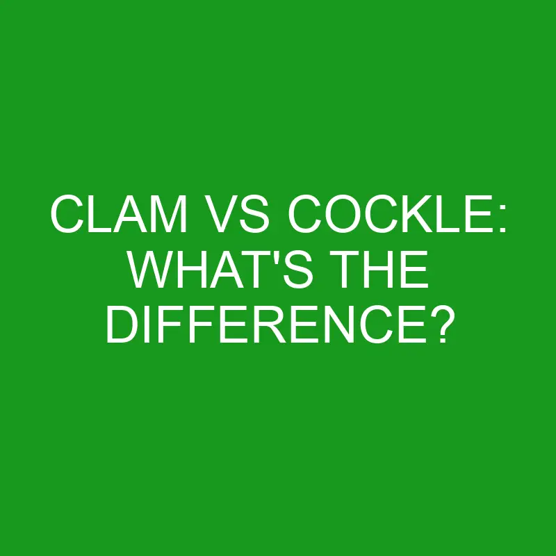 clam vs cockle whats the difference 5051