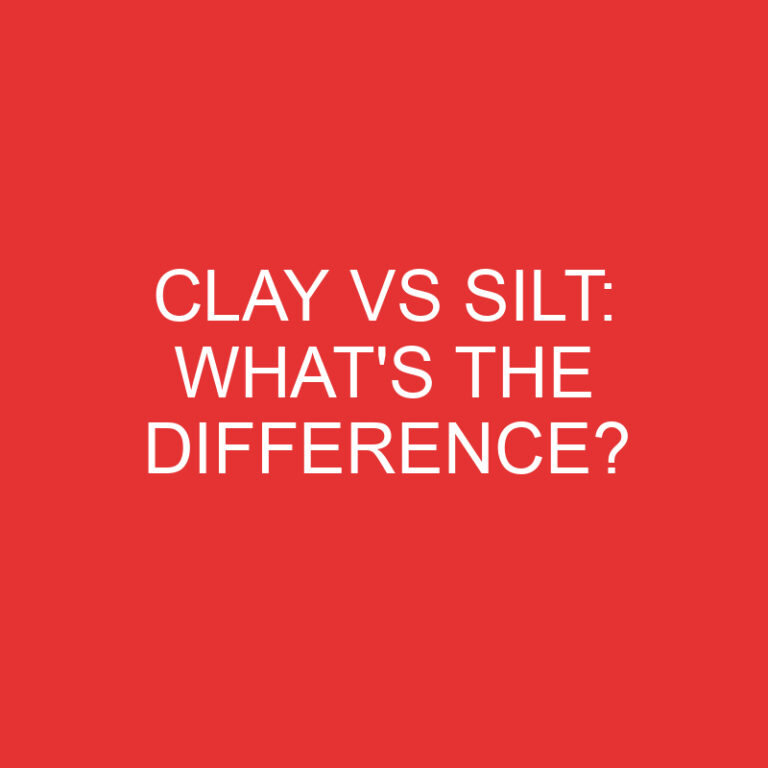 Clay Vs Silt: What’s the Difference?