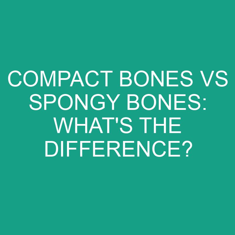 compact bones vs spongy bones whats the difference 2861