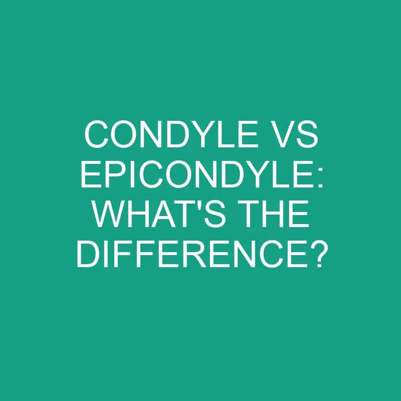 condyle vs epicondyle whats the difference 2849