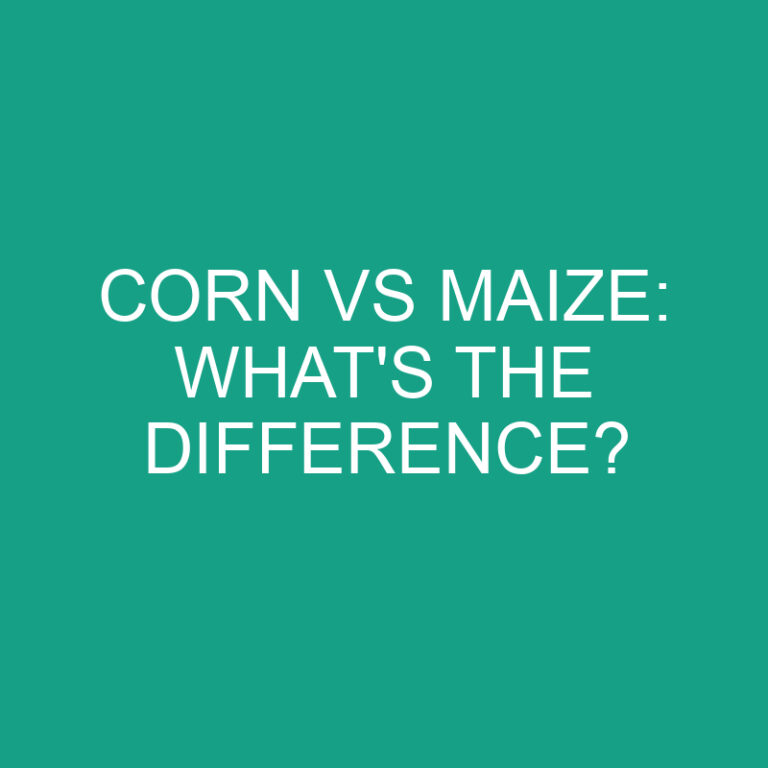 Corn Vs Maize: What’s the Difference?