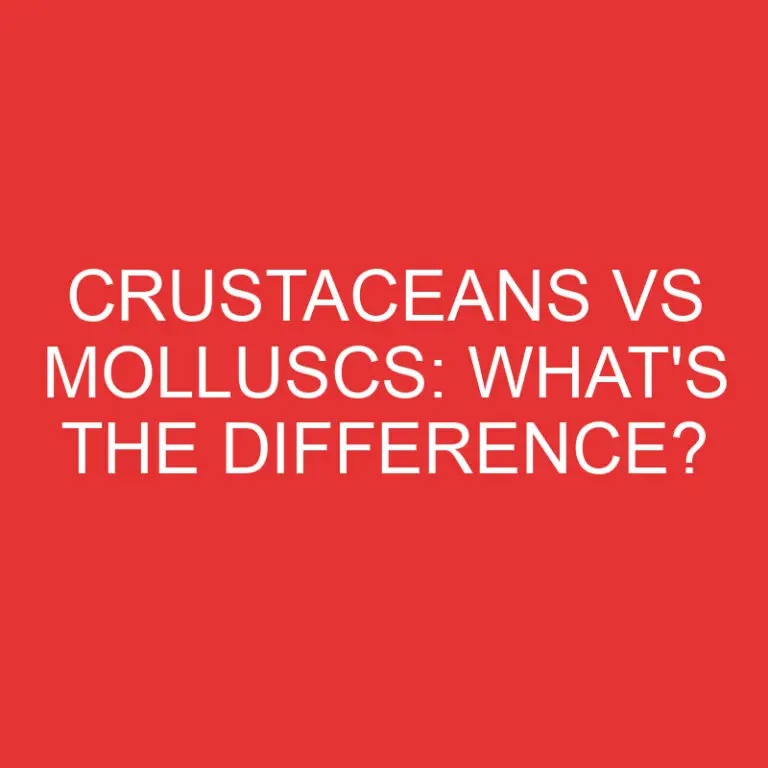 Crustaceans Vs Molluscs: What’s the Difference?