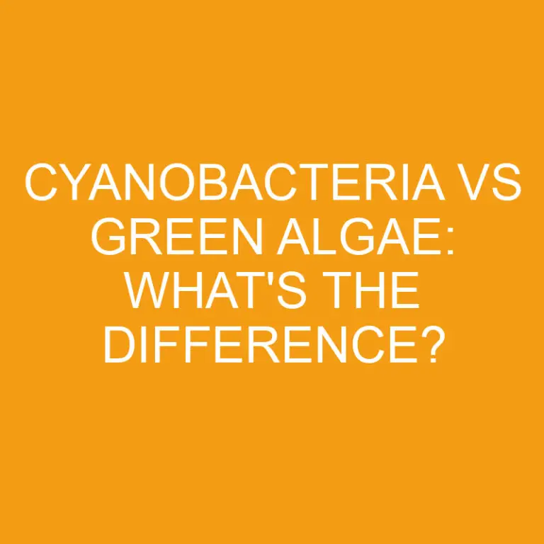 Cyanobacteria Vs Green Algae: What’s the Difference?