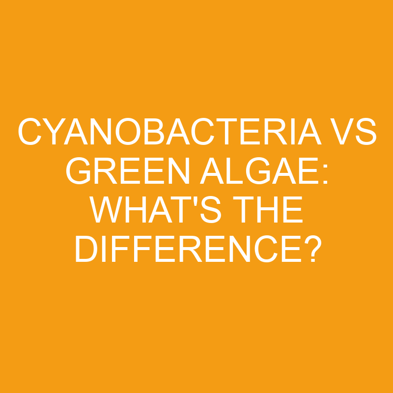 cyanobacteria vs green algae whats the difference 3230